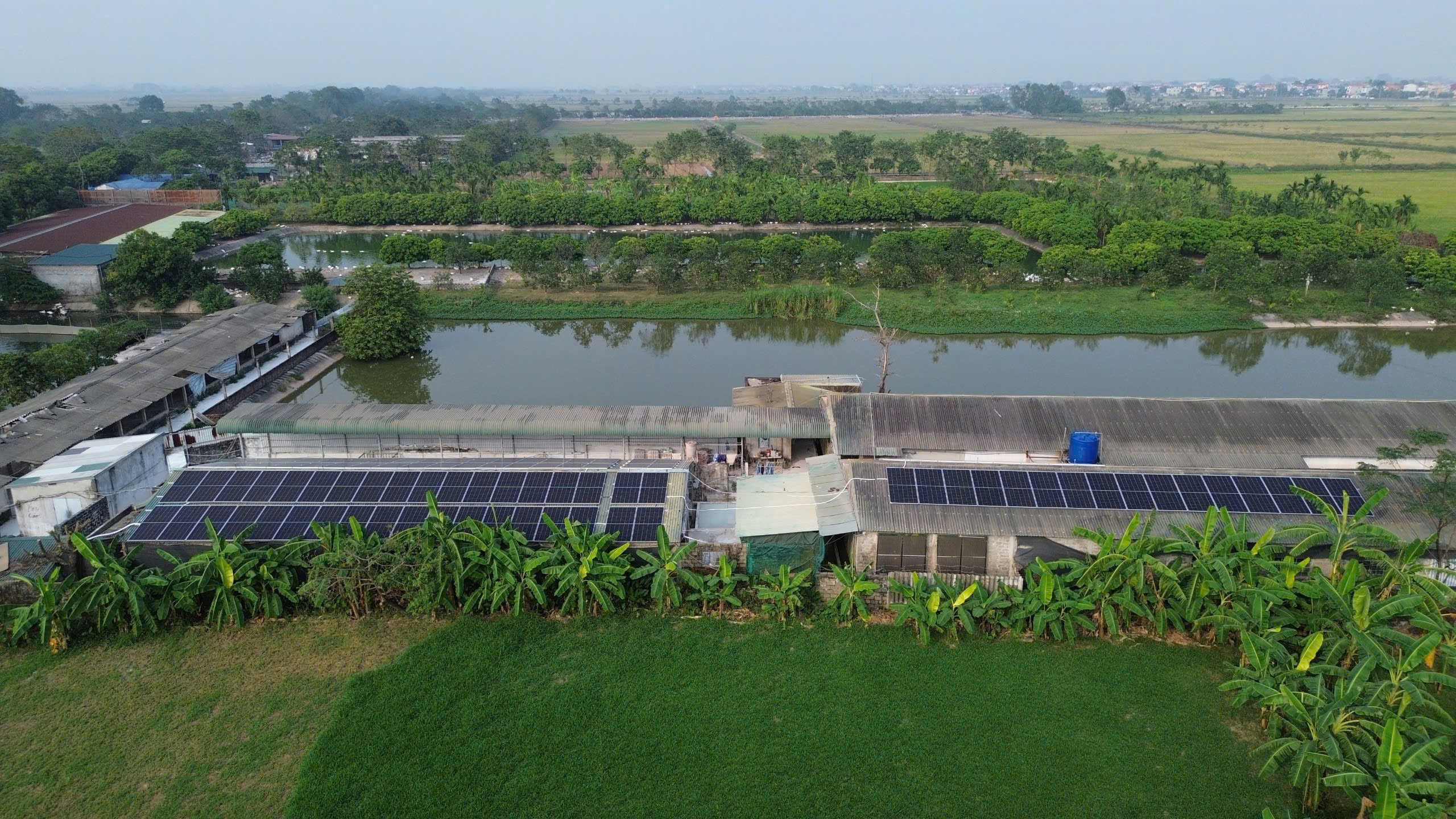 Dự án điện mặt trời do Manfusi Solar lắp đặt